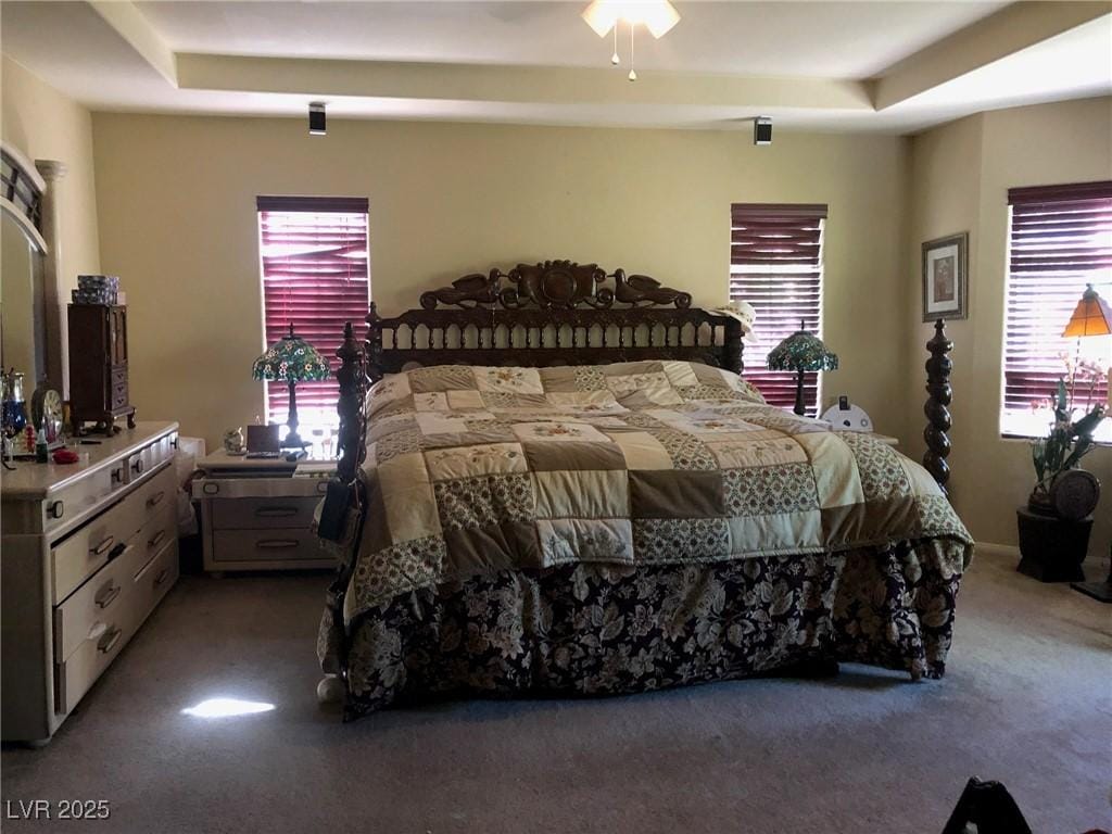 bedroom with a tray ceiling, multiple windows, and carpet