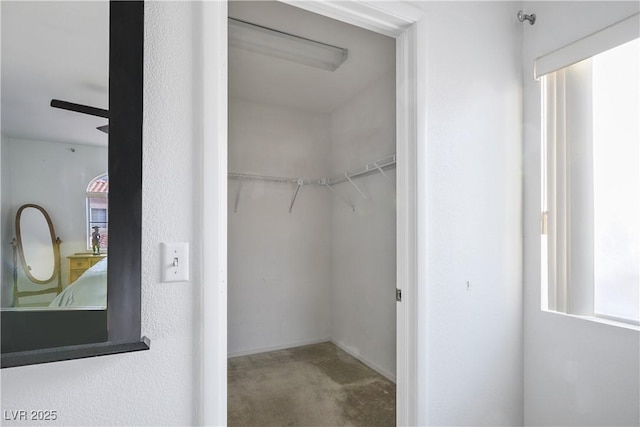 3331 Cheltenham St, Las Vegas, NV 89129 - view of walk in closet
