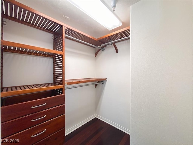 walk in closet featuring dark wood-type flooring