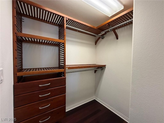 spacious closet with dark wood-style flooring