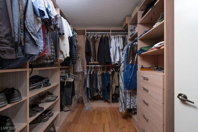 spacious closet with wood finished floors