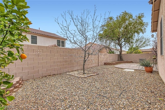 view of yard with a fenced backyard and a patio