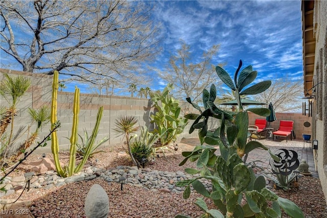 view of yard with a patio area and a fenced backyard