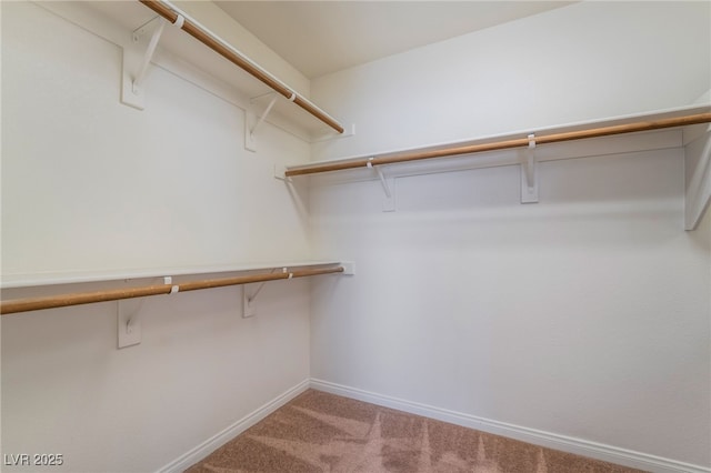 spacious closet with carpet flooring