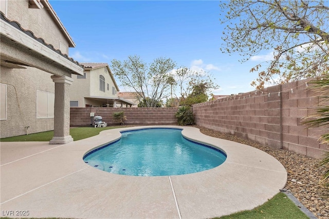 view of swimming pool featuring a patio, a fenced backyard, and a fenced in pool