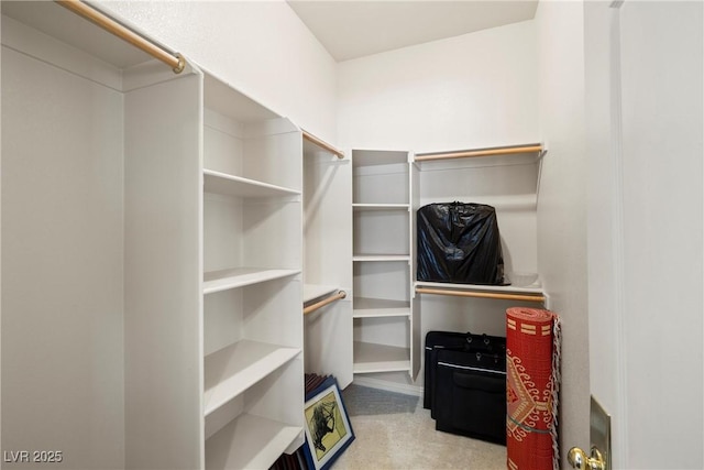 spacious closet with carpet floors