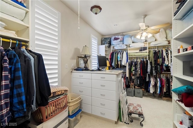 walk in closet featuring ceiling fan and carpet flooring