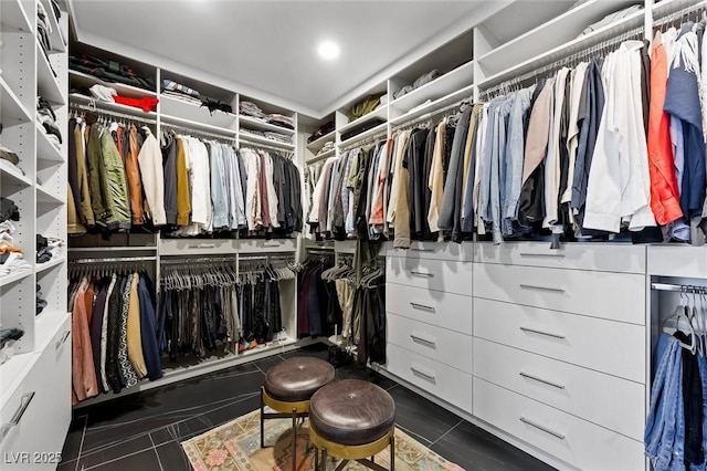 view of walk in closet