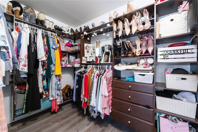 spacious closet featuring wood finished floors