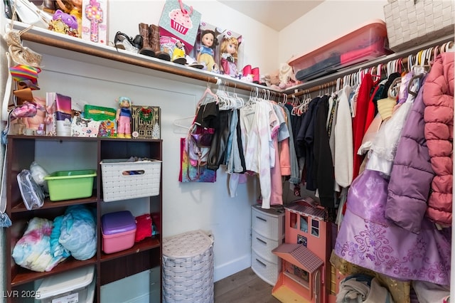 spacious closet featuring wood finished floors