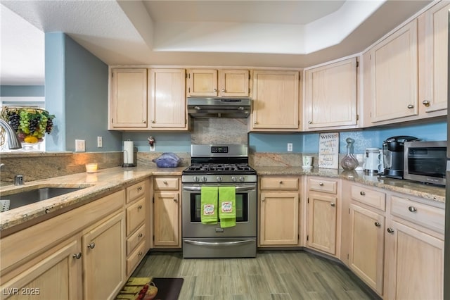 kitchen featuring light wood finished floors, light stone countertops, stainless steel appliances, under cabinet range hood, and a sink