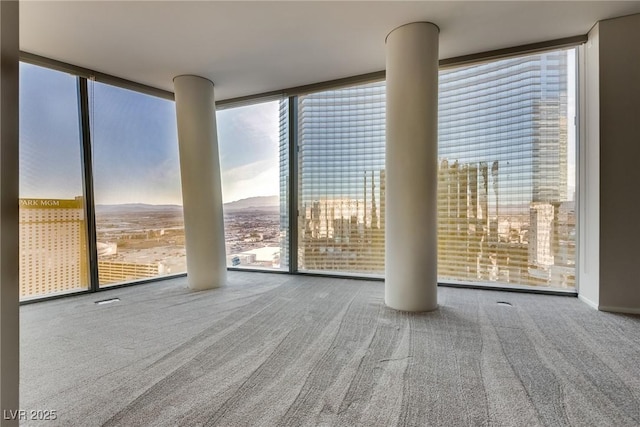 carpeted empty room featuring floor to ceiling windows