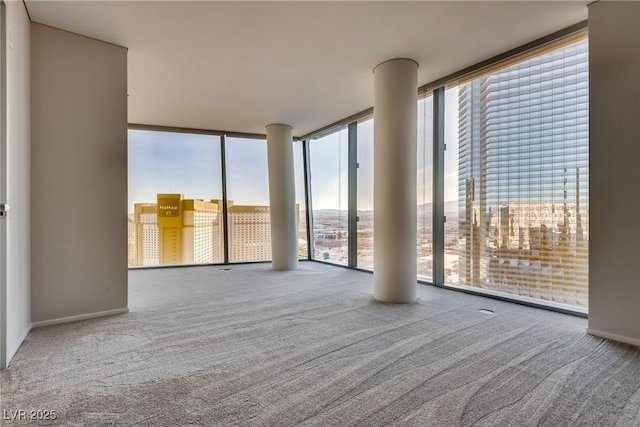 interior space featuring a wall of windows, carpet floors, and baseboards