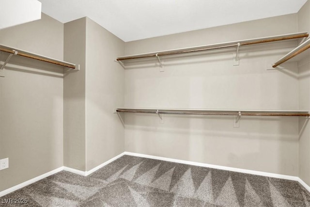 spacious closet featuring carpet