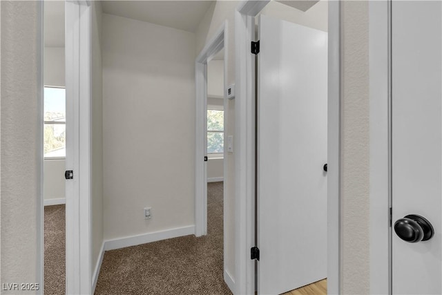 hallway with a healthy amount of sunlight, carpet, and baseboards