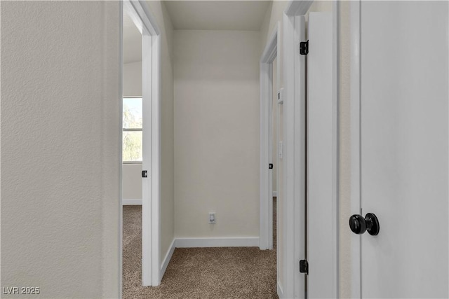 hallway with baseboards and carpet flooring