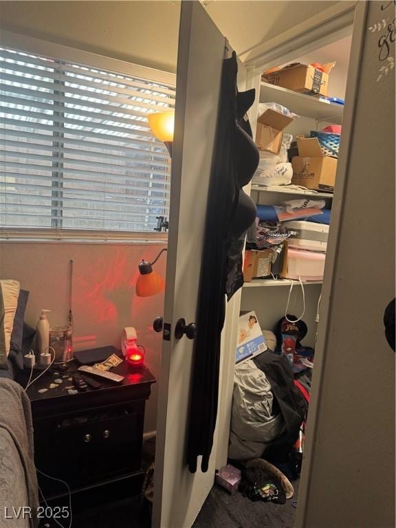 view of closet
