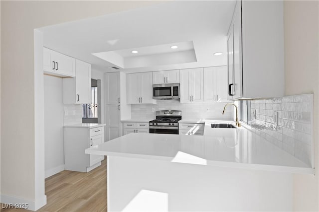 kitchen featuring tasteful backsplash, a raised ceiling, appliances with stainless steel finishes, a sink, and light wood-type flooring