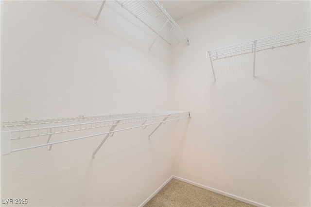 walk in closet with light colored carpet