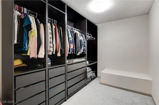 walk in closet featuring carpet floors