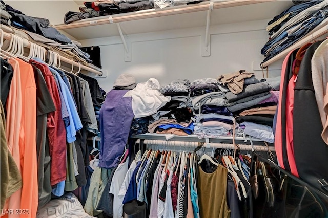 view of spacious closet