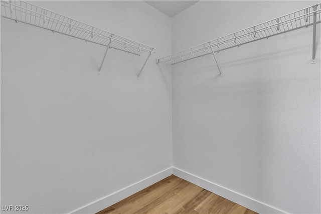 spacious closet featuring light wood-type flooring