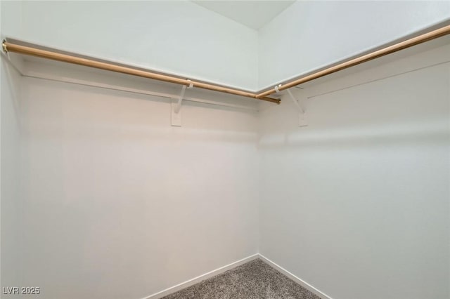 spacious closet featuring dark carpet