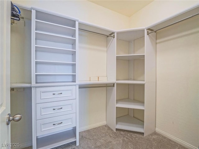 walk in closet with carpet floors