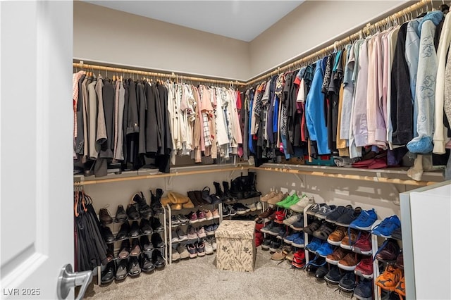 walk in closet featuring carpet flooring