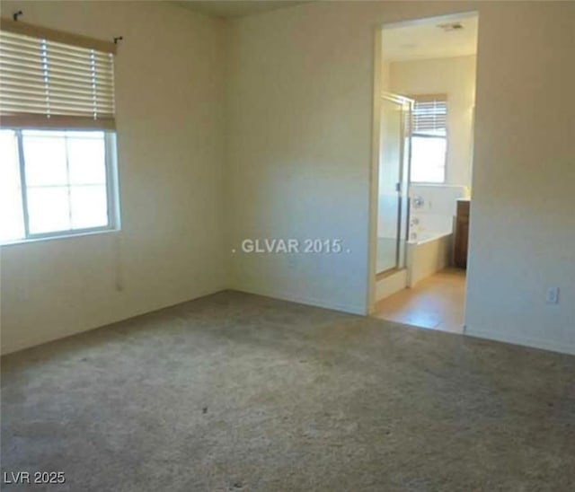 carpeted empty room featuring a healthy amount of sunlight