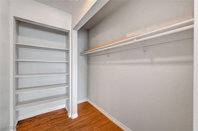 spacious closet featuring wood finished floors