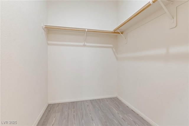 spacious closet featuring light wood-type flooring