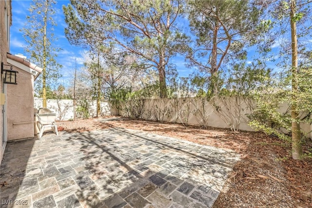 view of yard with a patio area and a fenced backyard