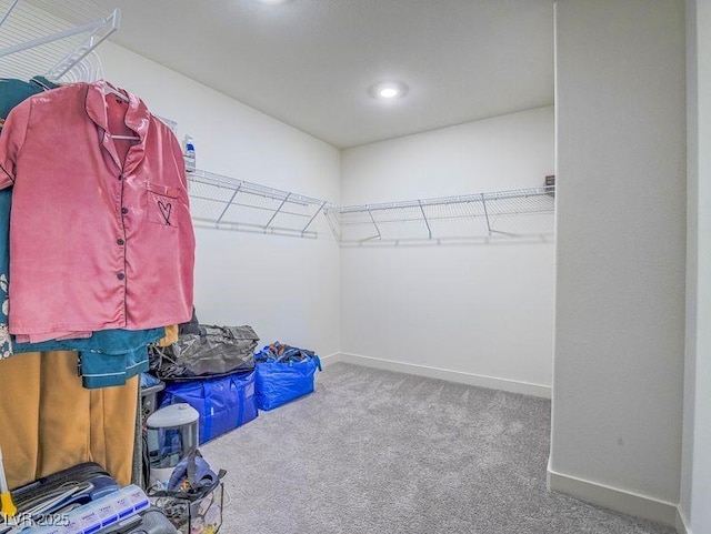 spacious closet with carpet flooring