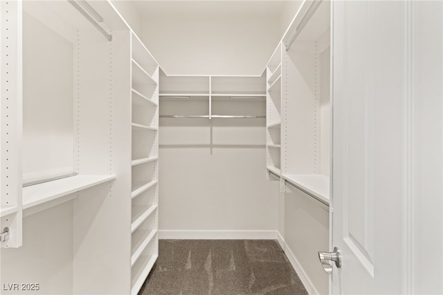 spacious closet with carpet floors