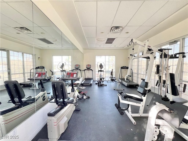 exercise room with a wealth of natural light, a drop ceiling, and visible vents