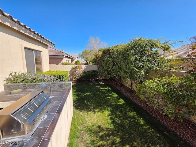 view of yard with a fenced backyard