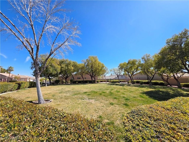 view of yard with a residential view