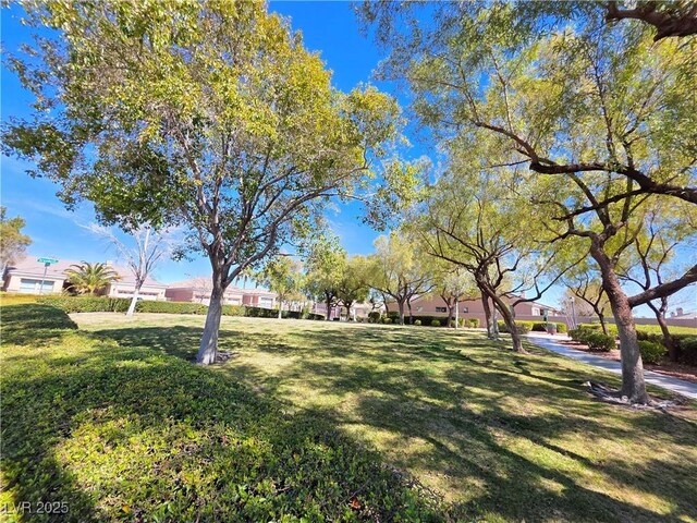 view of community with a yard