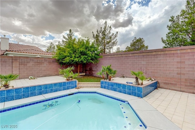 view of swimming pool featuring a fenced backyard and a patio