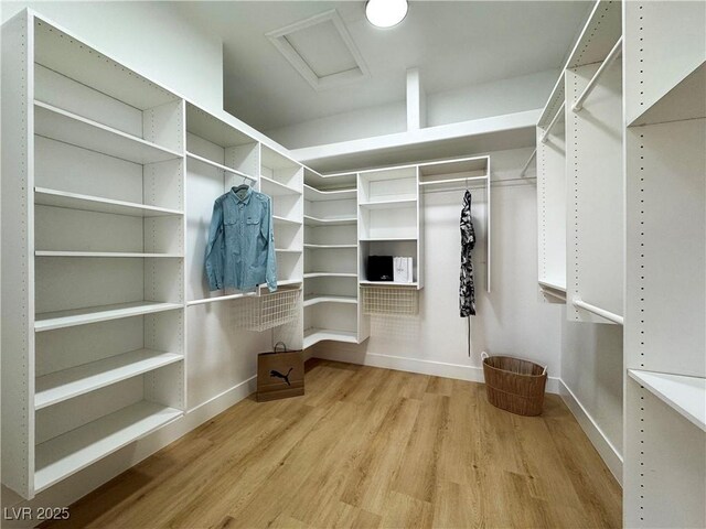 walk in closet with attic access and wood finished floors