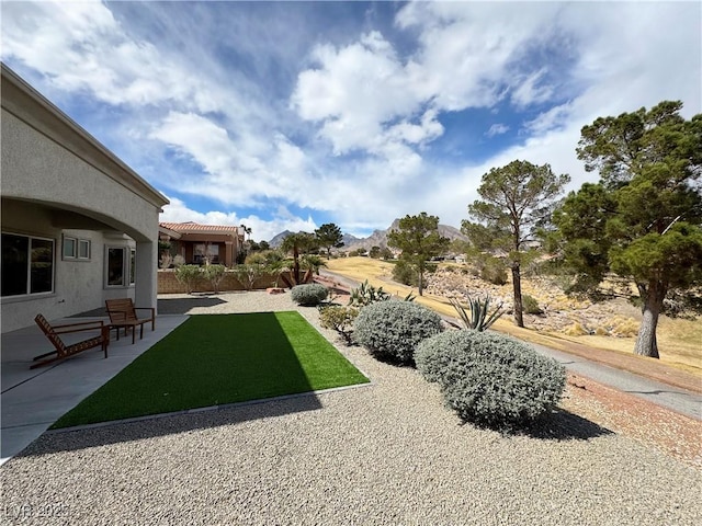 view of yard featuring a patio area