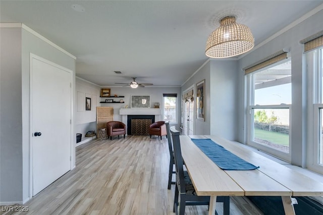 dining space featuring a fireplace, light wood finished floors, visible vents, ornamental molding, and ceiling fan