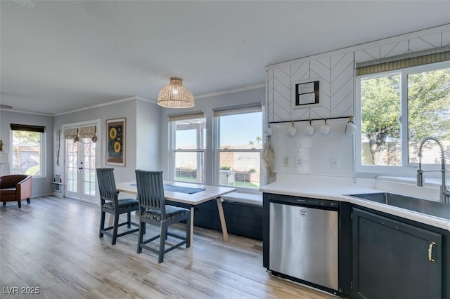 kitchen featuring dishwasher, a sink, and a healthy amount of sunlight