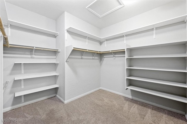 spacious closet featuring carpet floors and attic access