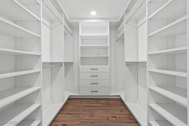 spacious closet featuring dark wood-style floors