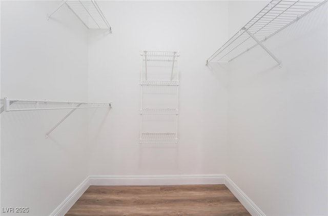 spacious closet featuring wood finished floors