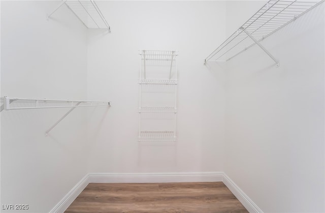 walk in closet featuring wood finished floors