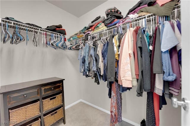 spacious closet featuring carpet flooring