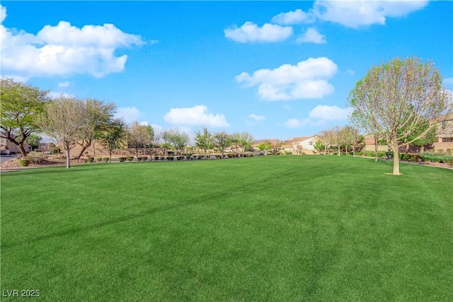 view of home's community featuring a yard